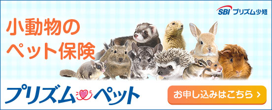プリズムペット