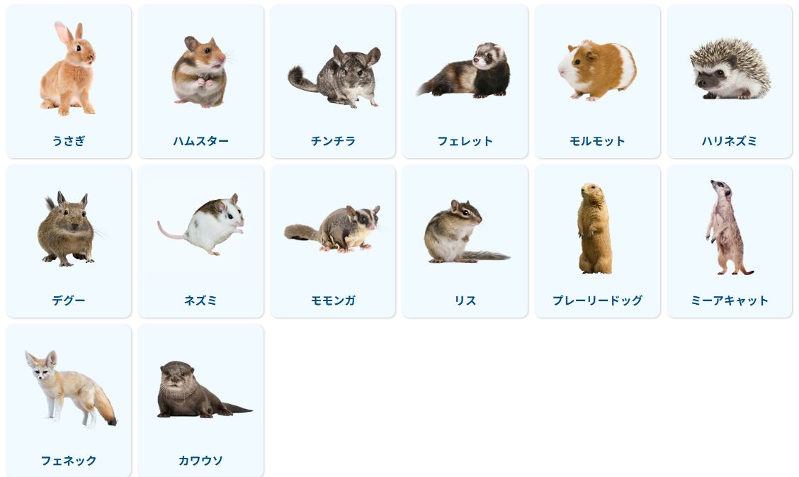 小動物