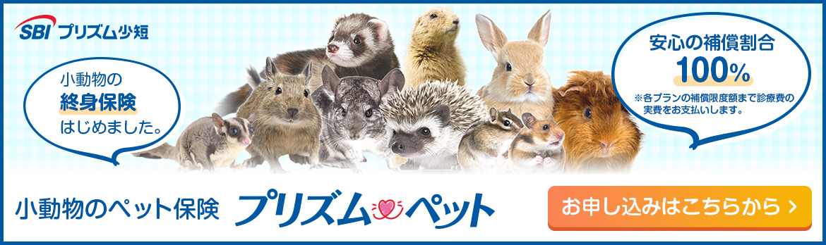 SBIプリズム プリズムペット小動物